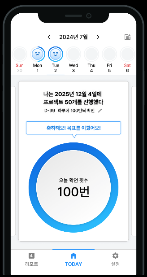 일일 진행률 추적